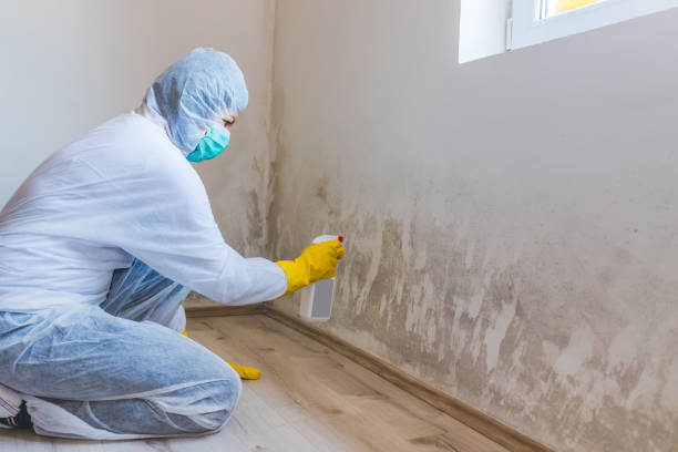 Best Mold Removal for HVAC Installations  in Beggs, OK